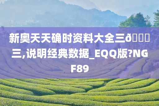 新奥天天确时资料大全三🀄三,说明经典数据_EQQ版?NGF89