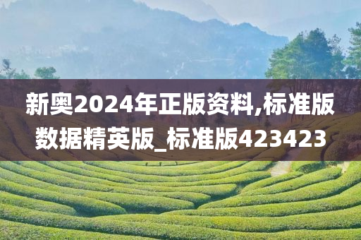 新奥2024年正版资料,标准版数据精英版_标准版423423