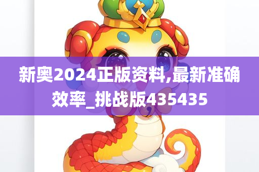 新奥2024正版资料,最新准确效率_挑战版435435