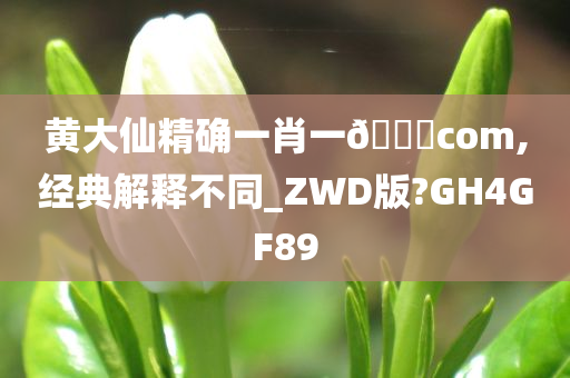 黄大仙精确一肖一🐎com,经典解释不同_ZWD版?GH4GF89