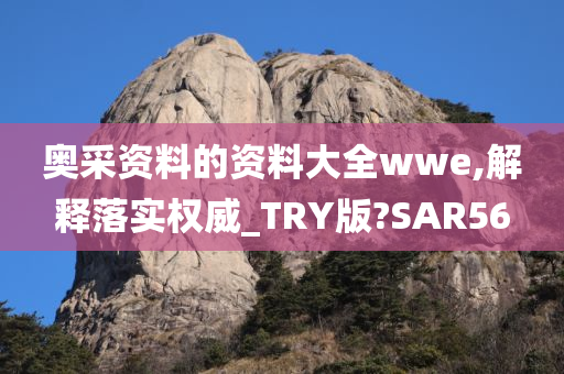 奥采资料的资料大全wwe,解释落实权威_TRY版?SAR56