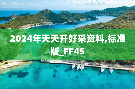 2024年天天开好采资料,标准版_FF45