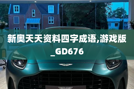 新奥天天资料四字成语,游戏版_GD676