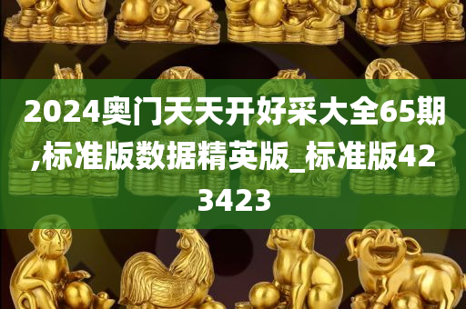 2024奥门天天开好采大全65期,标准版数据精英版_标准版423423