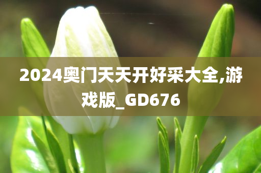 2024奥门天天开好采大全,游戏版_GD676