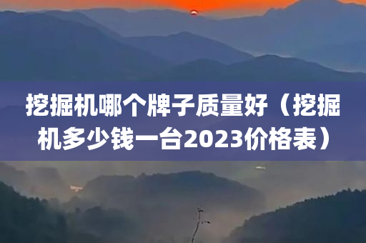 挖掘机哪个牌子质量好（挖掘机多少钱一台2023价格表）