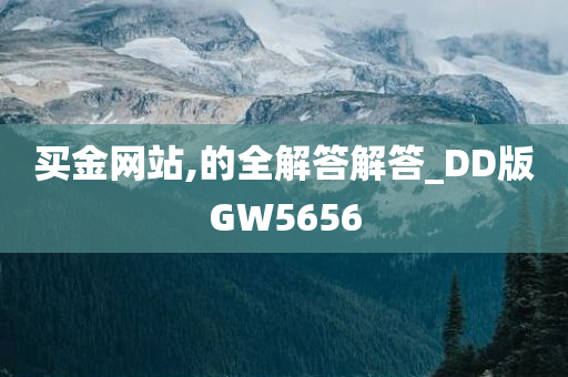 买金网站,的全解答解答_DD版GW5656