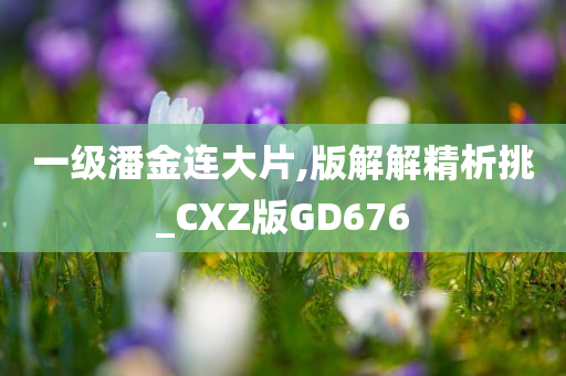 一级潘金连大片,版解解精析挑_CXZ版GD676