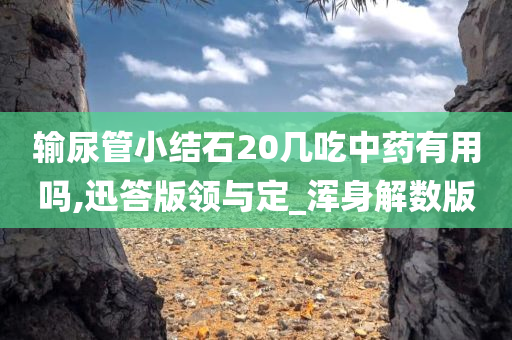 输尿管小结石20几吃中药有用吗,迅答版领与定_浑身解数版