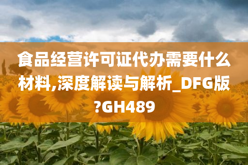 食品经营许可证代办需要什么材料,深度解读与解析_DFG版?GH489