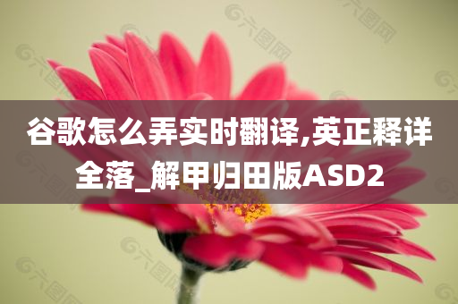 谷歌怎么弄实时翻译,英正释详全落_解甲归田版ASD2