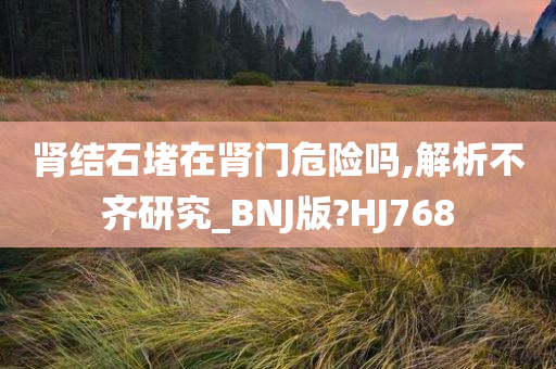 肾结石堵在肾门危险吗,解析不齐研究_BNJ版?HJ768