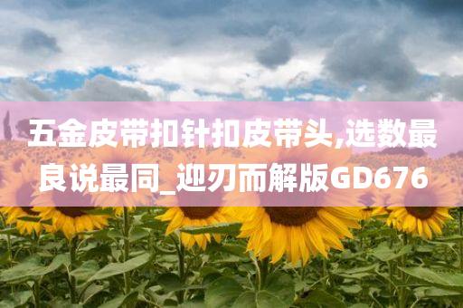 五金皮带扣针扣皮带头,选数最良说最同_迎刃而解版GD676