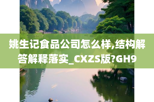 姚生记食品公司怎么样,结构解答解释落实_CXZS版?GH9