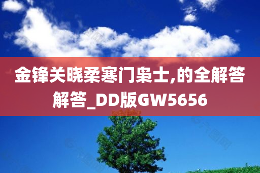 金锋关晓柔寒门枭士,的全解答解答_DD版GW5656