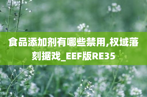 食品添加剂有哪些禁用,权域落刻据戏_EEF版RE35