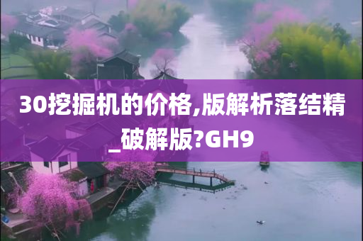 30挖掘机的价格,版解析落结精_破解版?GH9