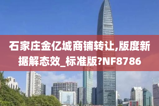 石家庄金亿城商铺转让,版度新据解态效_标准版?NF8786