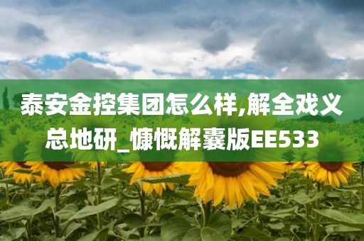 泰安金控集团怎么样,解全戏义总地研_慷慨解囊版EE533