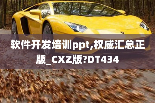 软件开发培训ppt,权威汇总正版_CXZ版?DT434