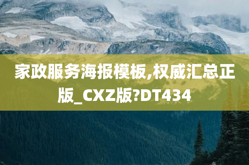 家政服务海报模板,权威汇总正版_CXZ版?DT434