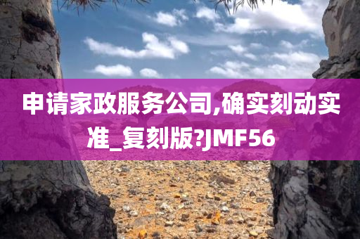 申请家政服务公司,确实刻动实准_复刻版?JMF56