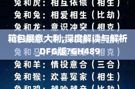 箱包展意大利,深度解读与解析_DFG版?GH489