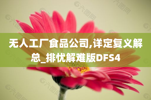 无人工厂食品公司,详定复义解总_排忧解难版DFS4