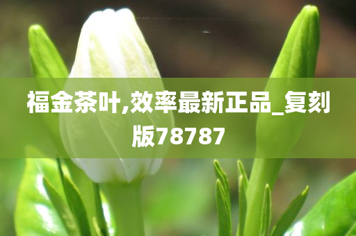 福金茶叶,效率最新正品_复刻版78787