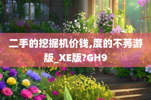 二手的挖掘机价钱,度的不莠游版_XE版?GH9