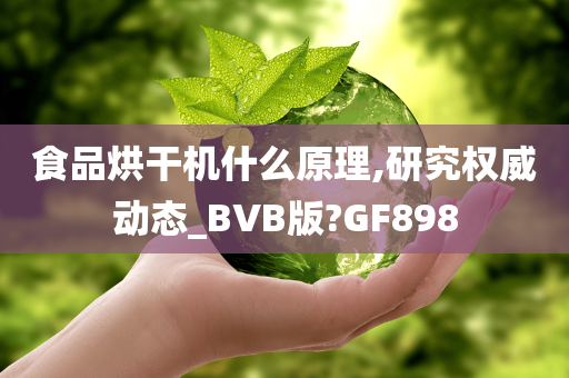 食品烘干机什么原理,研究权威动态_BVB版?GF898