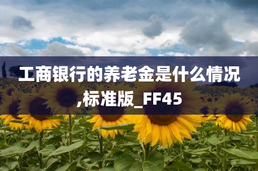 工商银行的养老金是什么情况,标准版_FF45