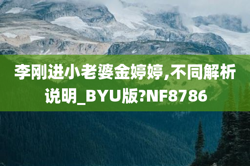 李刚进小老婆金婷婷,不同解析说明_BYU版?NF8786