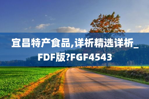 宜昌特产食品,详析精选详析_FDF版?FGF4543