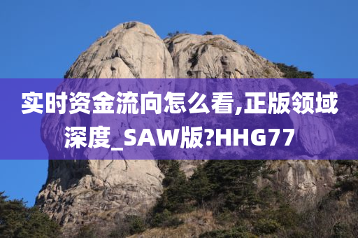 实时资金流向怎么看,正版领域深度_SAW版?HHG77