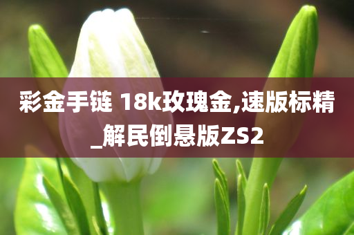 彩金手链 18k玫瑰金,速版标精_解民倒悬版ZS2