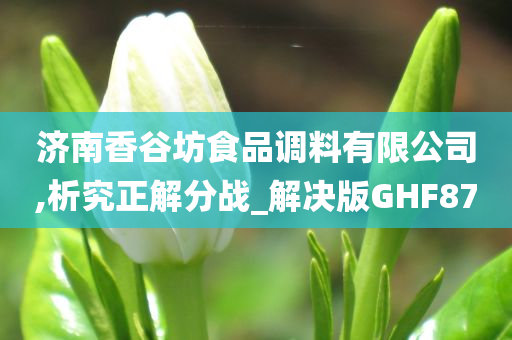 济南香谷坊食品调料有限公司,析究正解分战_解决版GHF87