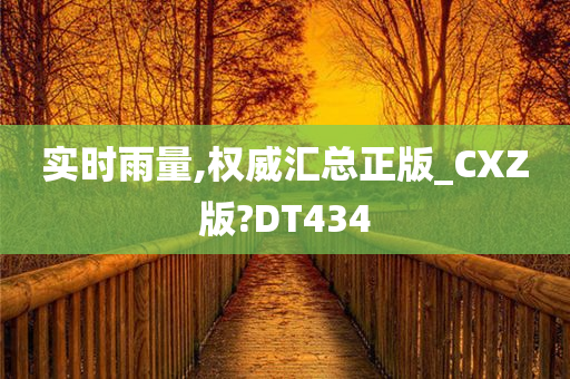 实时雨量,权威汇总正版_CXZ版?DT434