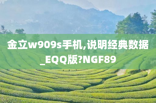 金立w909s手机,说明经典数据_EQQ版?NGF89