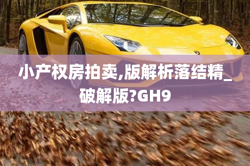 小产权房拍卖,版解析落结精_破解版?GH9