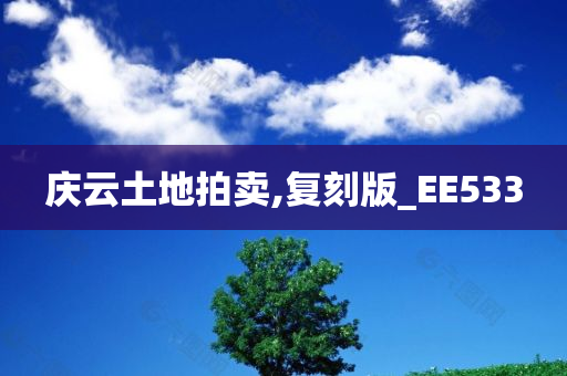 庆云土地拍卖,复刻版_EE533