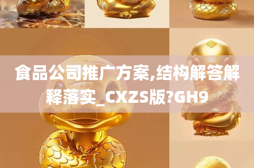 食品公司推广方案,结构解答解释落实_CXZS版?GH9