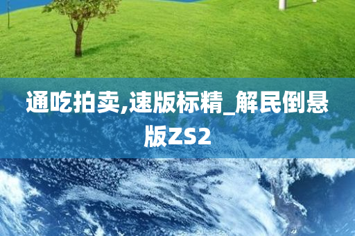 通吃拍卖,速版标精_解民倒悬版ZS2