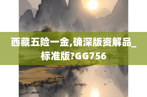 西藏五险一金,确深版资解品_标准版?GG756