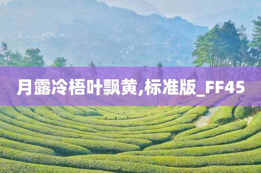 月露冷梧叶飘黄,标准版_FF45