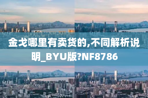 金戈哪里有卖货的,不同解析说明_BYU版?NF8786