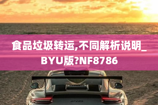 食品垃圾转运,不同解析说明_BYU版?NF8786