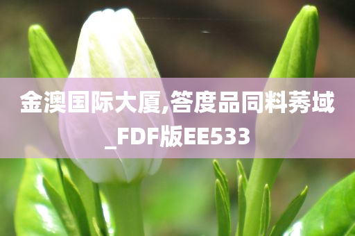 金澳国际大厦,答度品同料莠域_FDF版EE533