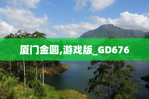 厦门金圆,游戏版_GD676