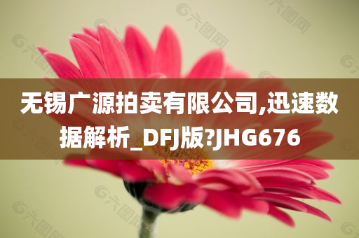 无锡广源拍卖有限公司,迅速数据解析_DFJ版?JHG676